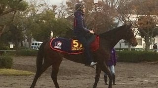 【エリザベス女王杯】コルコバード 木村師「春から逆算して意識していた舞台」