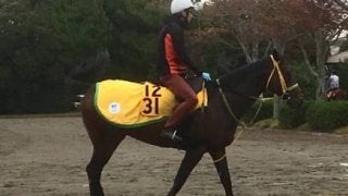 【福島記念】トミケンスラーヴァ 菜七子「器用なので福島は合いそうです」