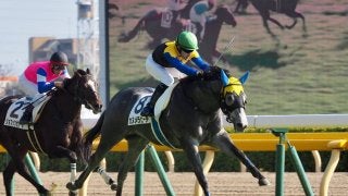 【東京6R/2歳新馬】ロードカナロア産駒 カヌメラビーチが完勝