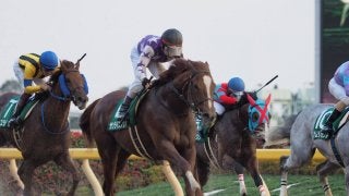 【武蔵野S】サンライズノヴァが貫禄の差し切り！重賞2勝目
