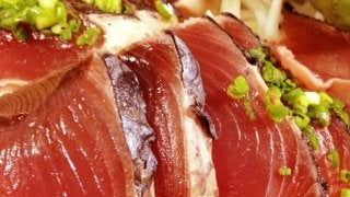 あなたは初鰹派？戻り鰹派？鰹がおすすめの理由とは？