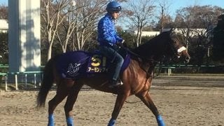 【ジャパンC 1週前】アーモンドアイ ルメール「前走の疲れもなさそう」