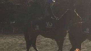 【マイルCS】ステルヴィオ 木村師「能力的にはG1でも…」