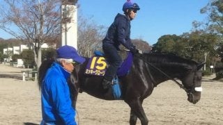 【マイルCS】ミッキーグローリー 国枝師「どこまでやれるか楽しみ」