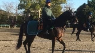 【東京スポーツ杯2歳S】ルヴォルグ  藤沢和師「気がよくてセンスがある」