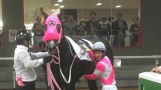 土曜東京4Ｒ新馬はケイアイターコイズが叩き合いを制してクビ差勝ち