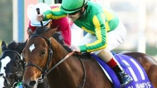 ジャパンＣの行方を左右する、サトノダイヤモンドの「復活」は本物か