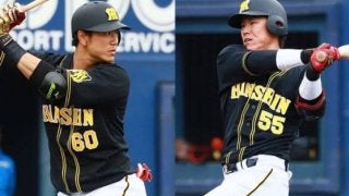 三振率上位占める阪神勢…中谷はじめ2割超え多数　三振率ランキング【セ編】