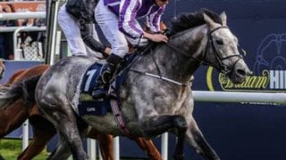 わずか２頭も、今年のジャパンＣに挑む外国馬を侮ってはいけない