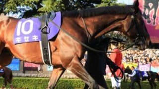 ジャパンＣ、穴党記者が「打倒アーモンドアイ」に指名した意外な４頭