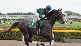 【浦和記念】枠順と見どころ  グリムは7枠9番
