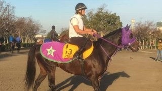 【京阪杯】キングハート 走り慣れた距離で反撃