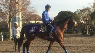 【ジャパンカップ】アーモンドアイ ルメール「自信をもって乗ります」
