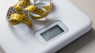 ダイエットの大敵！？脂肪を蓄える「白色脂肪細胞」