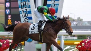 武藤雅騎手が騎乗停止 阪神JFのジョディーは騎乗不可