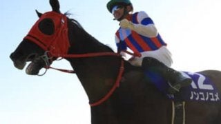 夢膨らむチャンピオンズＣ。ＧＩ馬か中京実績馬の人気落ち３頭が逆襲か