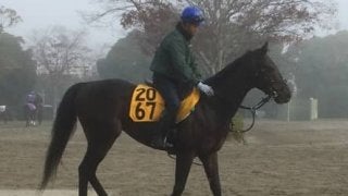 【チャレンジC】レイエンダ  順調な仕上がりでタイトル獲得へ