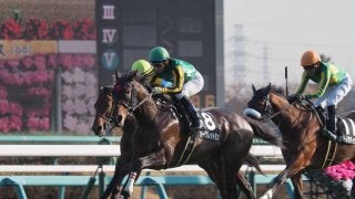 【葉牡丹賞】シークレットランがレコードで2勝目