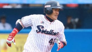 ヤクルト坂口や糸井＆鳥谷ら阪神勢優秀、DeNAは…BB/Kで図る貢献度【セ編】