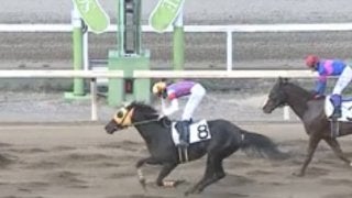 【園田C2二3歳上】転入初戦フォルシュナイトは7着