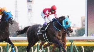 オジュウチョウサン有馬記念へ出走当確！有馬記念ファン投票最終結果