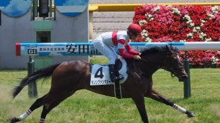 【阪神ジュベナイルF】出走馬の調教後の馬体重