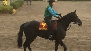 【阪神JF】シェーングランツ 藤沢和師「何より武（豊）くんにはお庭のようなコース」