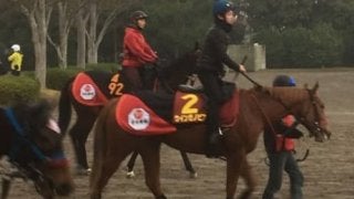 【阪神JF】ウインゼノビア 松若「このチャンスを生かせるように頑張りたいです」