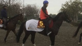 【阪神JF】グレイシア 栗田徹師「巻き返したいですね」