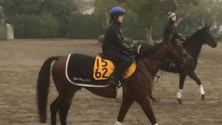 【カペラS】ブラゾンドゥリス 菜七子「いいところを引き出せるような競馬を」
