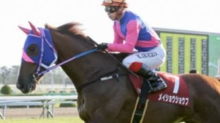 阪神JF、穴党記者の推しメン３頭。データに乏しい２歳戦こそ現場を頼れ