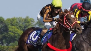 香港マイル出走馬 ペルシアンナイト モズアスコットなど出走