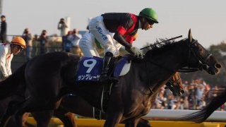 2018香港国際競走 日本馬の近況(12月6日(木))