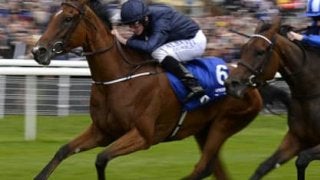 世界的な血筋を継ぐエールディヴァン「１つ、２つはすんなり勝てる」