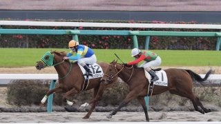 【中山5R/新馬】キングスバレイがハナ差凌ぎきる