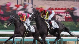 【中山6R/新馬】シーオブザムーンがゴール前差し切る