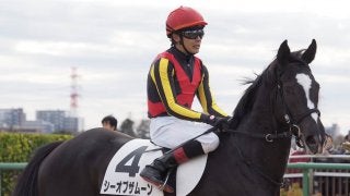【中山6R/新馬】三浦「今日は能力だけで勝ってくれました」シーオブザムーンがデビュー勝ち