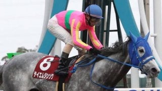 テイエムジンソク号が競走馬登録抹消