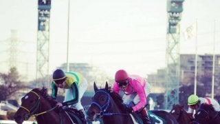 ツクバアズマオー号が競走馬登録抹消