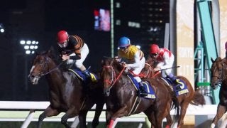 ネロ号が競走馬登録抹消