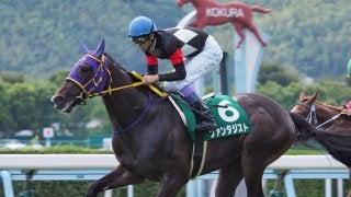 【朝日杯FS】出走馬の調教後の馬体重