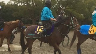 【朝日杯FS】ドゴール 黒岩師「ここでもいい脚を使ってくれる」