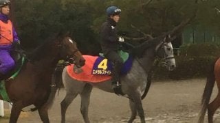 【朝日杯FS】エメラルファイト 1勝馬でも実力上位で侮れない