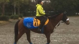 【ターコイズS】フロンテアクイーン 国枝師「状態は高いレベルで安定」