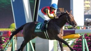 【朝日杯FS】枠順と見どころ 紅一点グランアレグリアが出走