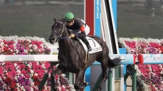 【阪神5R/新馬】キングリスティアが逃げ切りでデビュー勝ち