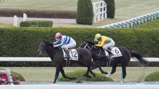 【阪神7R】ナンヨーイザヨイが2勝目！後方から差し切る