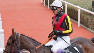 【蛍池特別】武豊レイズアベールがゴール前強襲！差し切りV