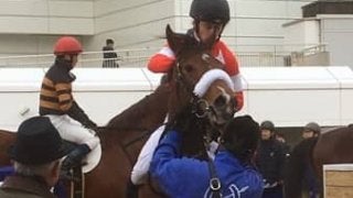 日曜中山６Ｒ新馬はディープインパクト産駒のレッドアステルがＶ