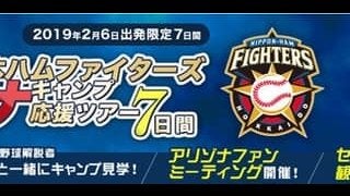 ラジオ野球解説者の白井一幸が案内する「日本ハムアリゾナキャンプ応援ツアー」発売